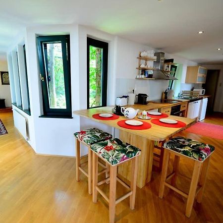 Green Haven Roofgarden Penthouse In Central Area Wien Exteriör bild