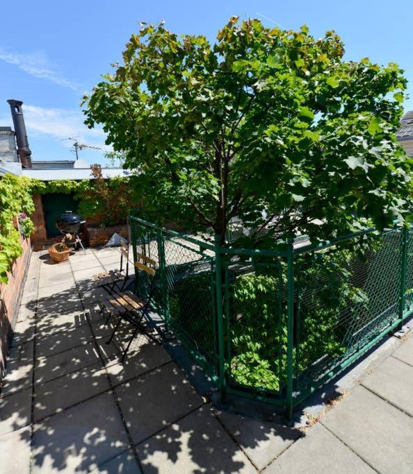 Green Haven Roofgarden Penthouse In Central Area Wien Exteriör bild